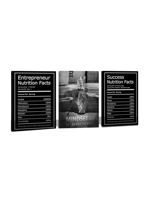 

Cbaipy 3-Piece Mindset Is Everything Motivational Canvas Posters Prints Entrepreneur Bundle Wall Art, Black/White