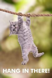 Targets Store Cat Hang in There Rolled Poster, 12 x 18 inch, Multicolour