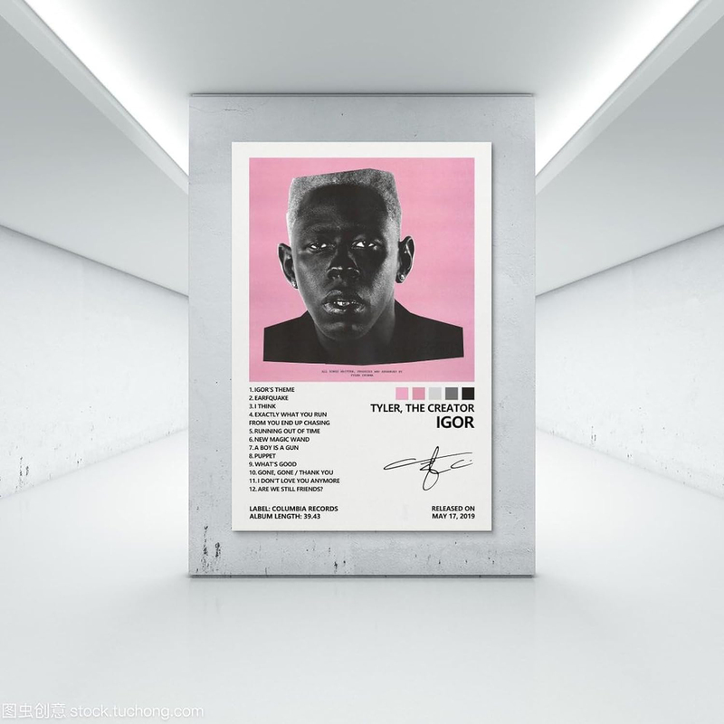 Shiwa Tyler Poster The Creator Igor Album Cover Canvas Wall Art Poster, 12 x 18 inch, Multicolour