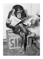 BZQOPFDA 12 x 16-Inch Unframed Canvas Black and White Funny Chimp Reading Newspaper Poster Wall Art, Multicolour