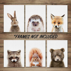 EPHANY Baby Animal Posters & Prints Canvas Painting Poster, 6 Pieces, Multicolour