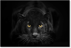 Seven Wall Arts Black Panther Wall Art Black and White Wildlife Print Leopard Poster, Black