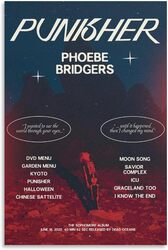 Meetje Phoebe Bridgers Poster Punisher Album Cover Canvas Poster, 12 x 18 inch, Multicolour