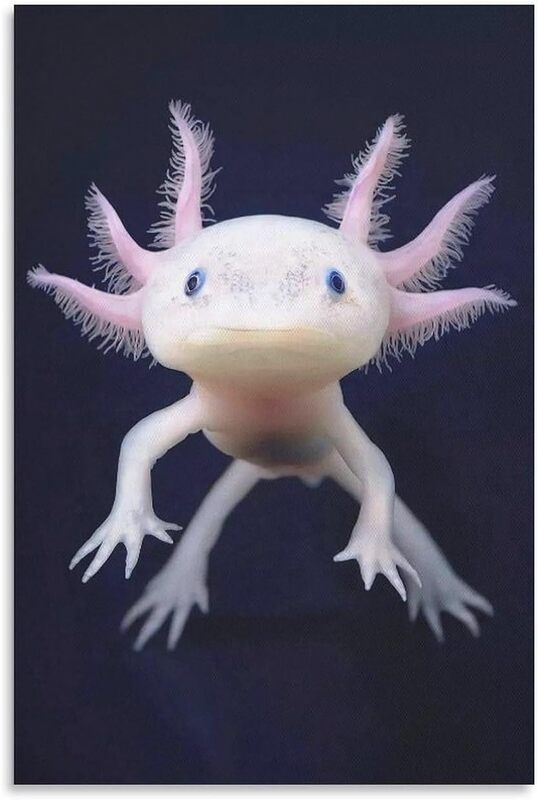 

Generic Reptile Animal Axolotl Canvas Wall Art Poster, 16 x 24 inch, Multicolour