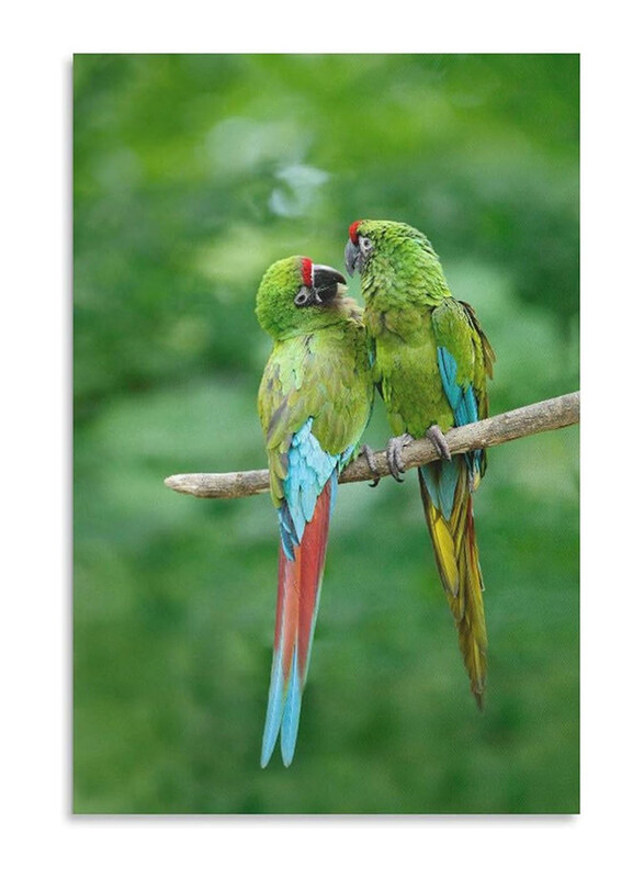 

Generic Unframed Canvas 16 x 24-Inch Parrot Love Pair Poster, Green