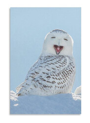 16 x 24-Inch Canvas Snowy Cute Smiling Owl Poster Wall Art, Multicolour