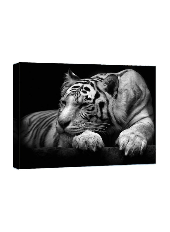 Vijf Arte Framed 16 x 20-Inch Tiger Wall Artworks, Black-White