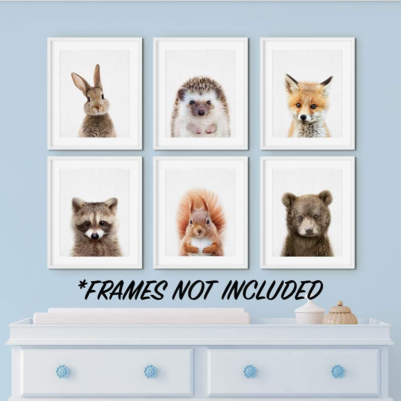 EPHANY Baby Animal Posters & Prints Canvas Painting Poster, 6 Pieces, Multicolour
