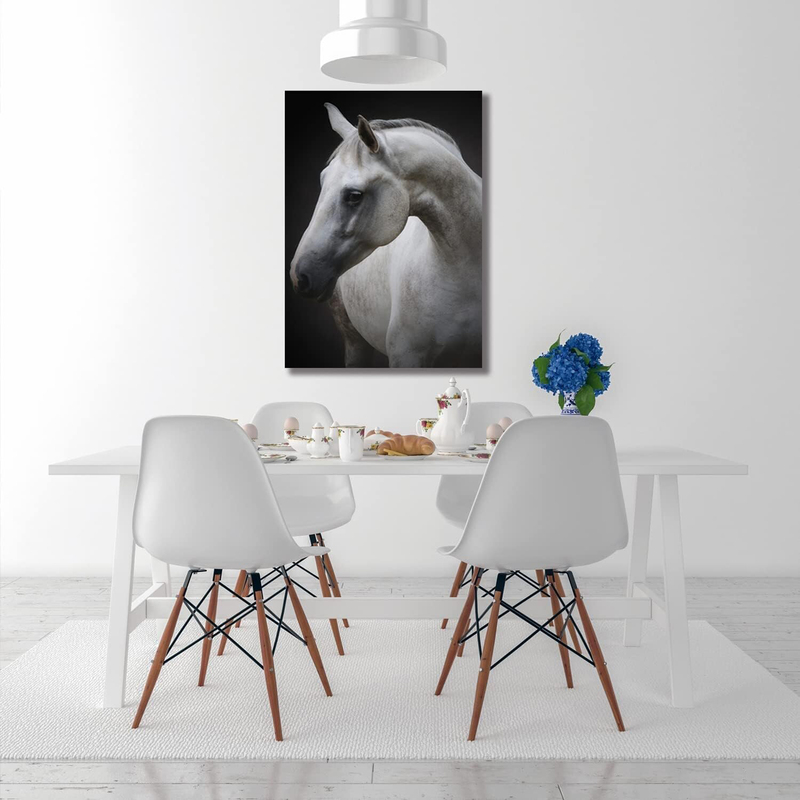 Donahue Art Picture Horse White Head Painting Framed Wall Art Canvas Prints for Living Room, Farm, Office, Equestrian Decoration, White/Black