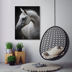 Donahue Art Picture Horse White Head Painting Framed Wall Art Canvas Prints for Living Room, Farm, Office, Equestrian Decoration, White/Black