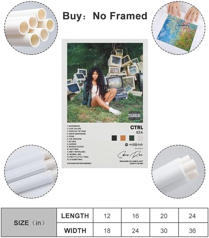 Astral Sza Ctrl Album Cover Canvas Aesthetic Gift Posters without Frame, Multicolour