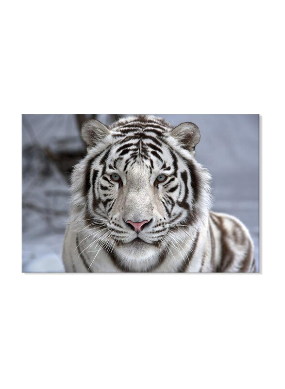 

Seven Wall Arts Wildlife Animal Bengal Tiger Modern Canvas Print Poster, White