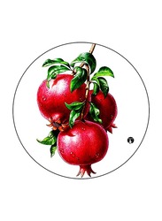 RKN Pomegranate Printed Round Mouse Pad, Multicolour