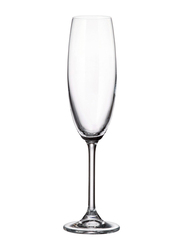 Crystal Bohemia 220ml 6-Piece Set Colibri Flute Glasses, Clear