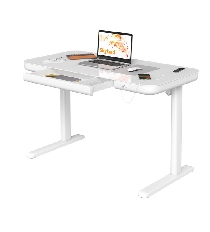 

SkyLand Electric Height Adjustable Standing Desk - Ergonomic Sit-Stand Desk with Drawer, Wireless Charging, USB & Type-C Ports, Cable Management - Whi