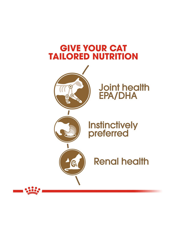 

Royal Canin Feline Health Nutrition Ageing +12 Jelly Wet Cat Food, 6 x 85g