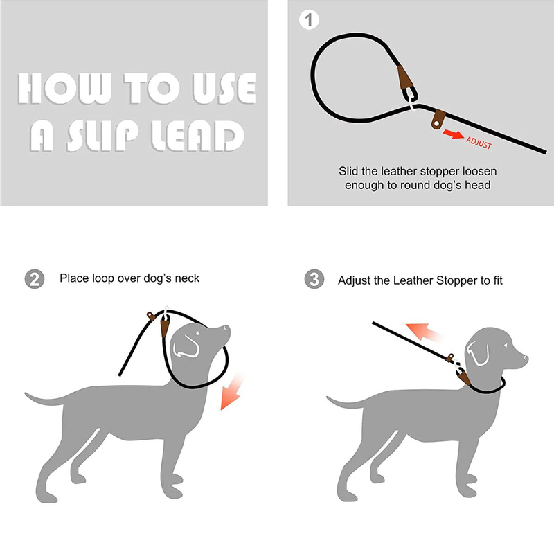 Fida Durable Slip Lead Dog Training Leash, 6 feet, Black