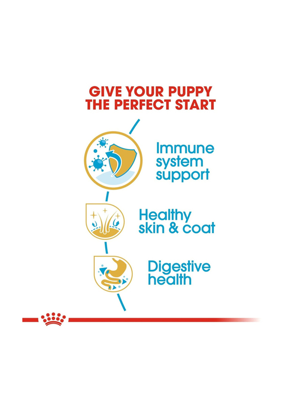 Royal Canin Breed Health Nutrition Cocker Dry Puppy Food, 3 Kg