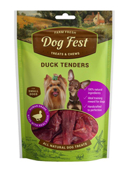 Dog Fest Duck Tenders for Mini Dogs Dry Food, 55g