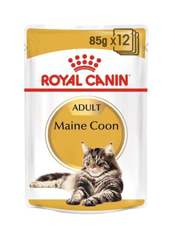 

Royal Canin Feline Breed Nutrition Maine Coon Wet Cats Food, 12 x 85g