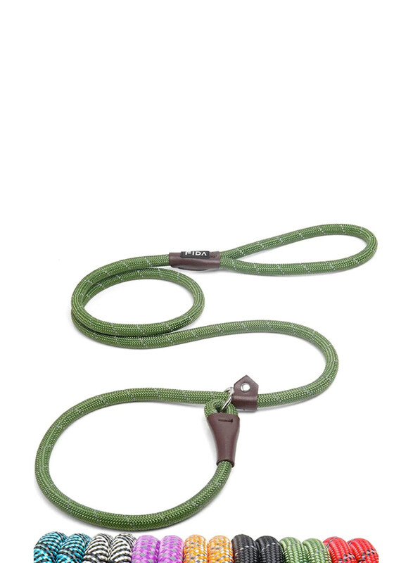 

Fida 6-Feet Durable Slip Lead Dog Leash, Green