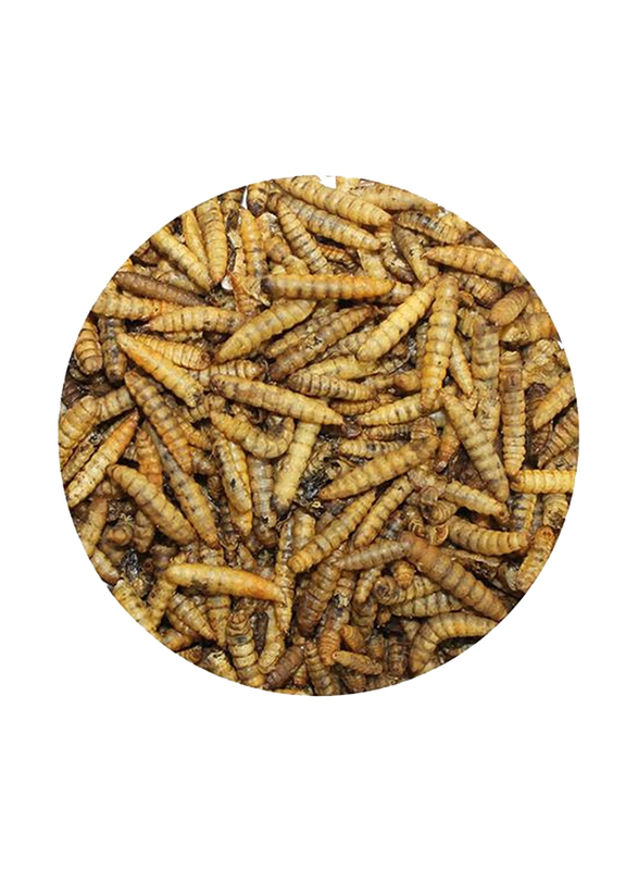 Exotic Nutrition Dried Black Soldier Fly Larvae, 1.5oz