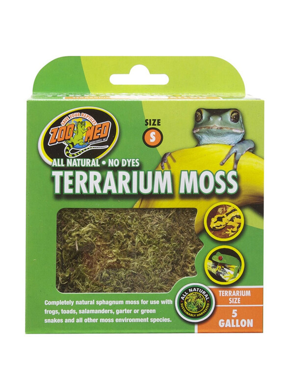 

Zoomed Terrarium Moss, Small, Green