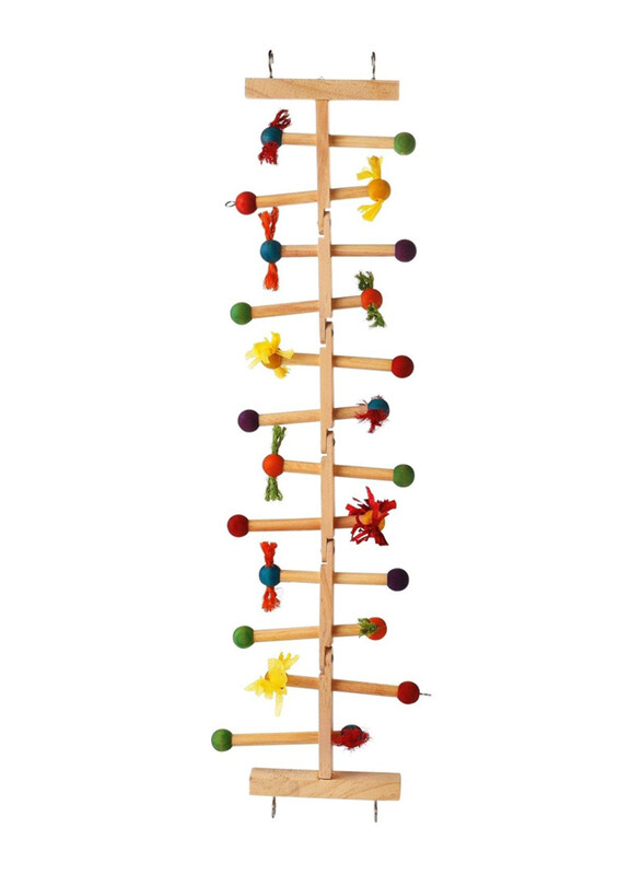 

Coollapet Forage n Play Ladder, Large, Multicolour