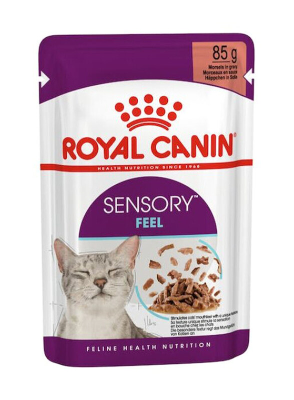 Royal Canin Feline Health Nutrition Sensory Feel Gravy Cat Wet Food, 12 x 85g