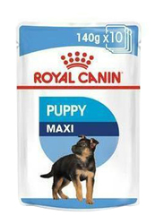 Royal Canin Size Health Nutrition Maxi Puppy Wet Food for Dogs, 10 x 140g