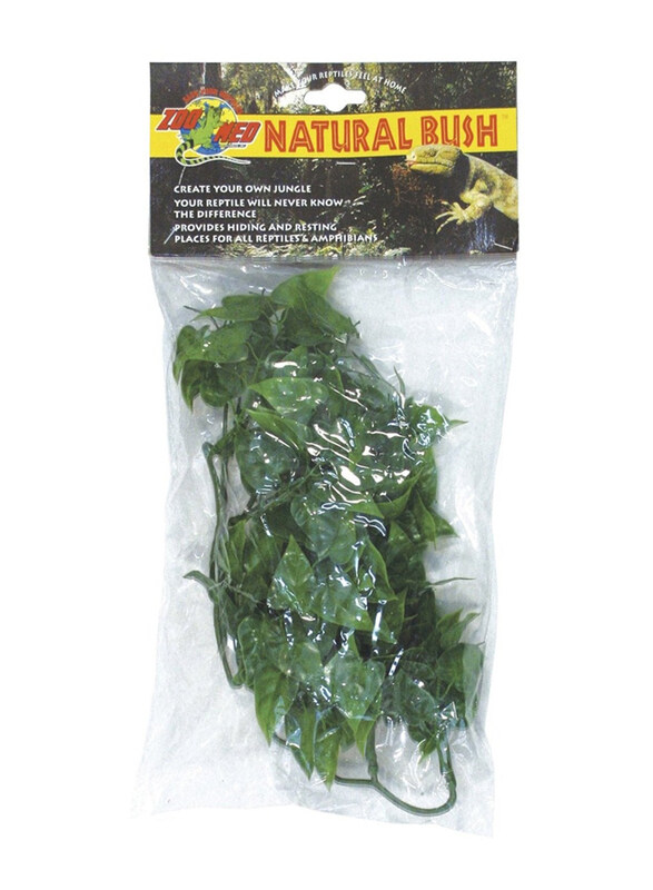 

Zoomed Mexican Phyllo Natural Bush Plants, Small, Green