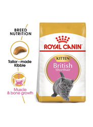 Royal Canin Feline Breed Nutrition British Shorthair Dry Kitten Food, 2 Kg