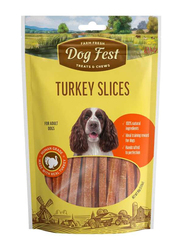 Dog Fest Turkey Slices for Adult Dogs Dry Food