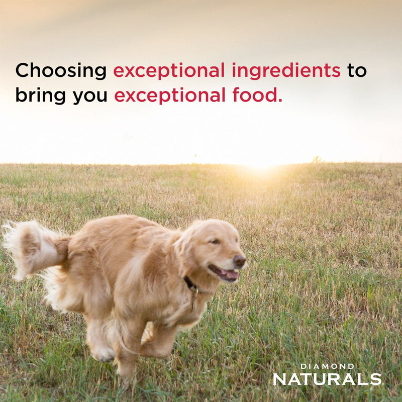 Diamond Naturals Adult Dog Lamb Meal & Rice formula, 15Kg