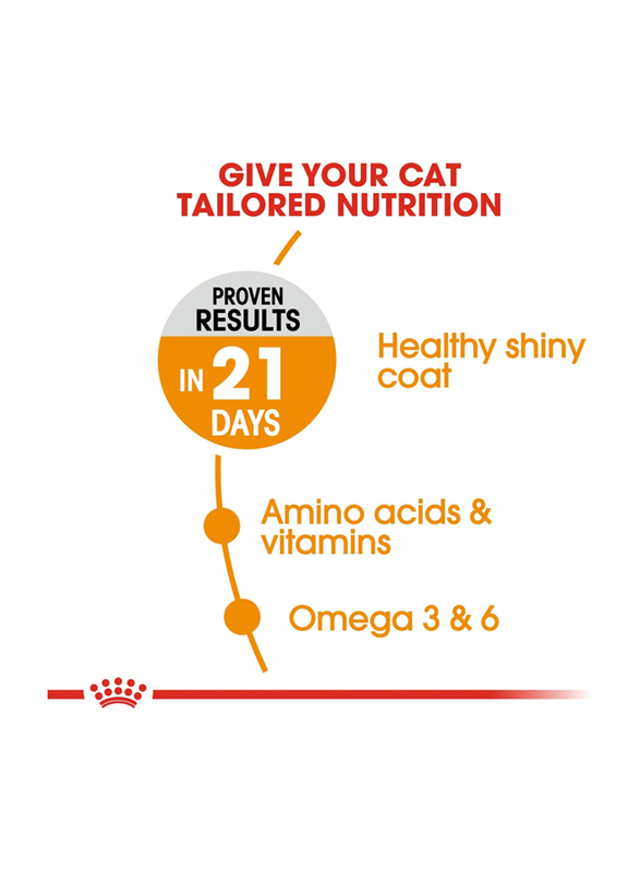 Royal Canin Feline Care Nutrition Hair & Skin Dry Cat Food, 10 Kg
