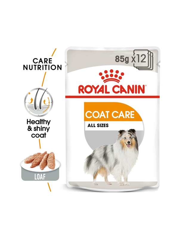 Royal Canin Canine Care Nutrition Coat Beauty Wet Food for Dogs, 36 x 85g