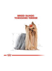 Royal Canin Breed Health Nutrition Yorkshire Adult Wet Dog Food, 12 x 85g