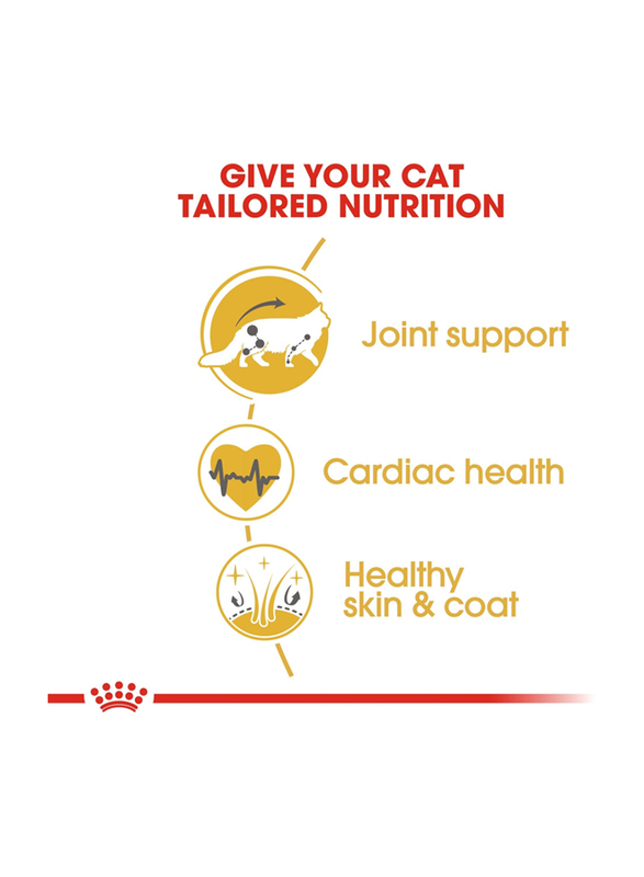 Royal Canin Feline Breed Nutrition Maine Coon Adult Cat Dry Food, 2Kg