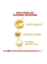 Royal Canin Feline Breed Nutrition Maine Coon Adult Cat Dry Food, 2Kg