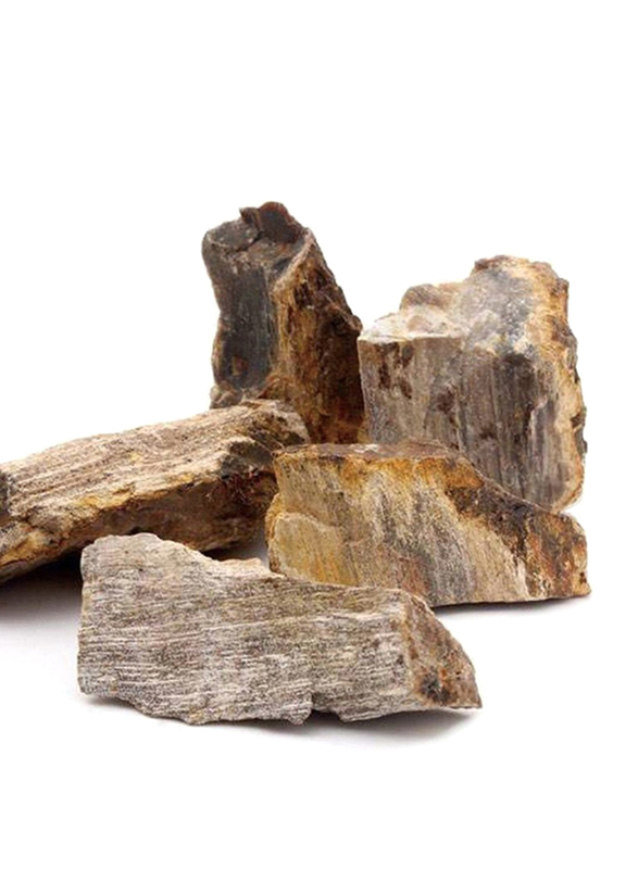 Dymax Wood Grain Rock, 25 Kg, Brown