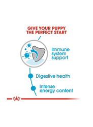 Royal Canin Size Health Nutrition Mini Puppy Wet Food for Dogs, 12 x 85g