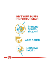 Royal Canin Breed Health Nutrition Yorkshire Puppy Dry Dog Food, 1.5 Kg