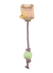 Beco Natural Rubber Ball On Rope for Dogs, L, Green