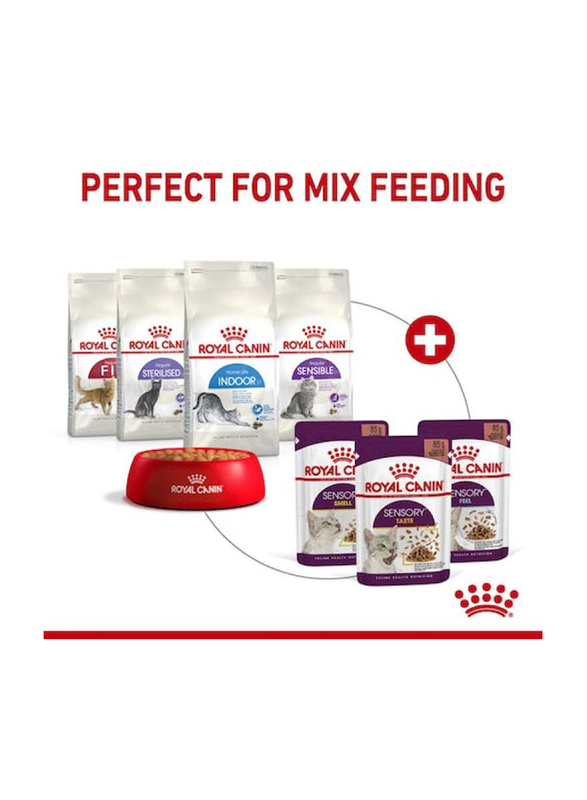 Royal Canin Feline Health Nutrition Sensory Feel Gravy Cat Wet Food, 12 x 85g