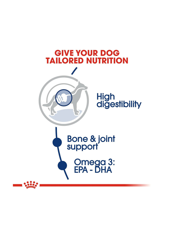 Royal Canin Size Health Nutrition Maxi Adult Dog Dry Food, 1Kg