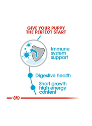 Royal Canin Size Health Nutrition Medium Puppy Dry Food for Dogs, 1Kg