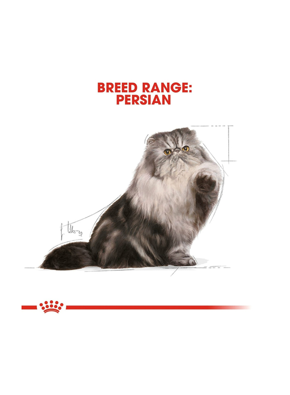 Royal Canin Feline Breed Nutrition Persian Cat Wet Food, 24 x 85g