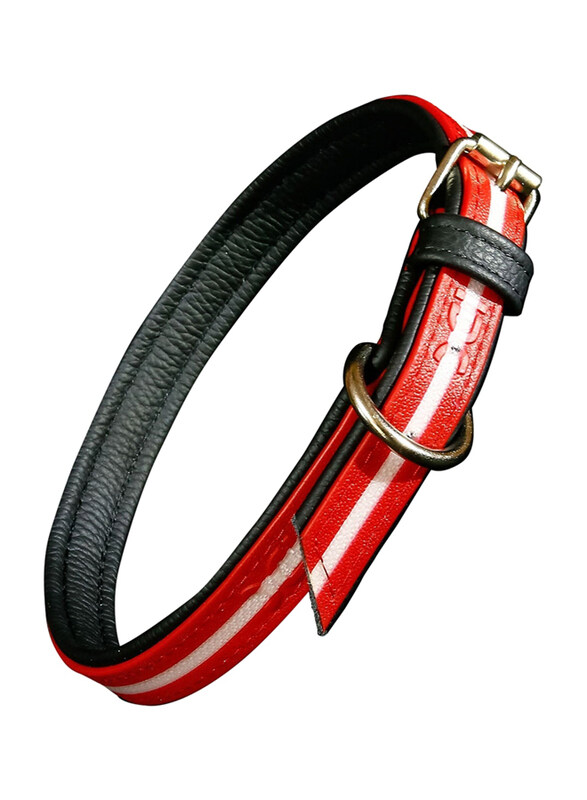 

Julius-K9 IDC Lumino Dog Collar, W2.5cm x L50cm, Red/White