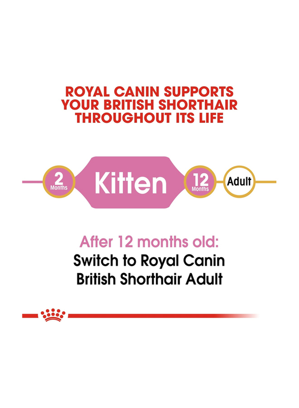 Royal Canin Feline Breed Nutrition British Shorthair Dry Kitten Food, 2 Kg