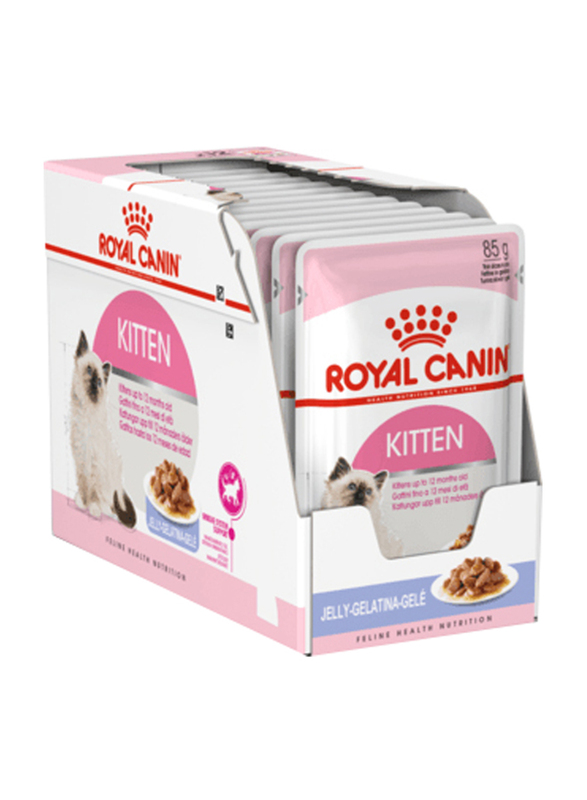 Royal Canin Feline Health Nutrition Jelly Kitten Wet Food, 12 x 85g